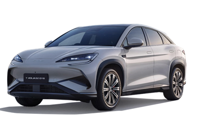 BYD �����̾� 7